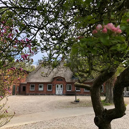 Apartment Am Muehlendamm - Meerblick, Sauna Und Ofen *